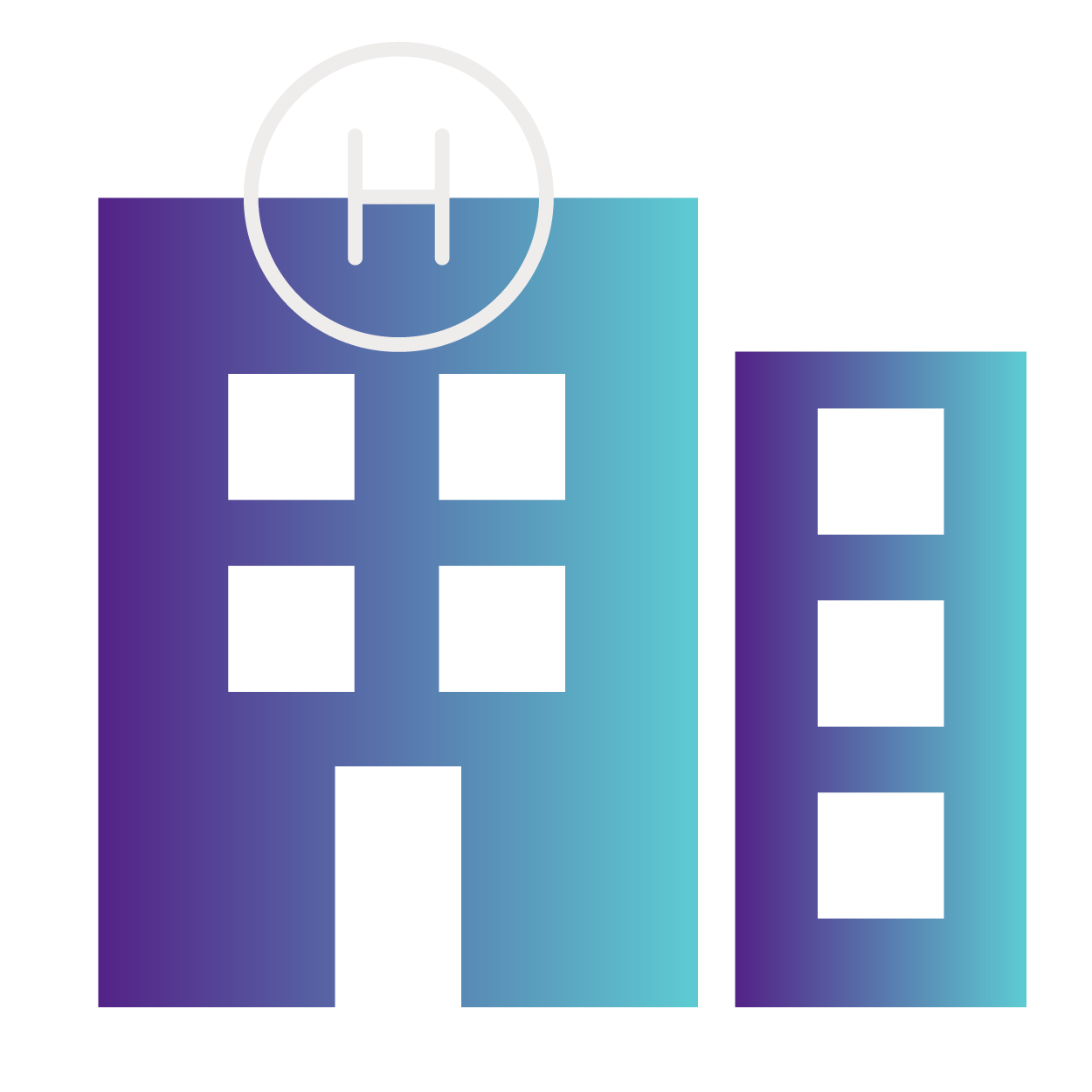 CH_icon-MASTER_healthcare organization